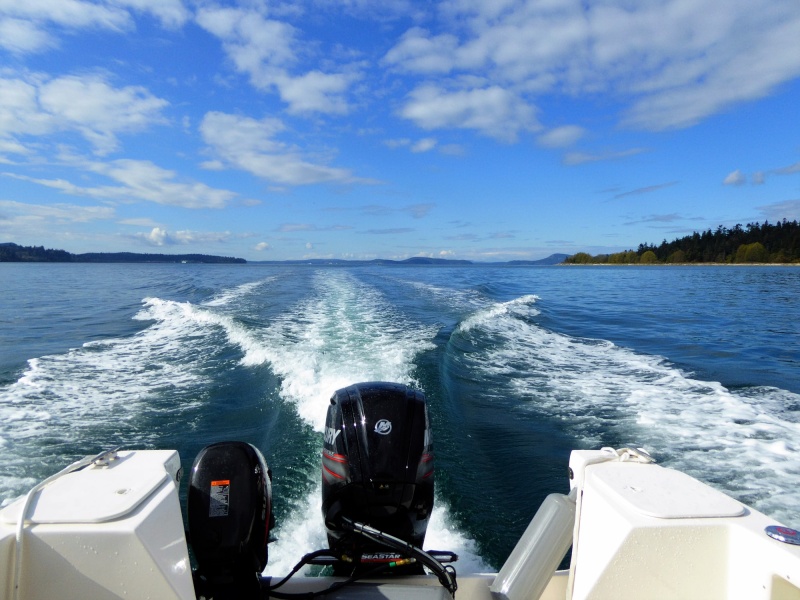Typical cruise at 3000 rpm and 11 knots. When not in a hurry, this is a nice speed even when flat calm!
