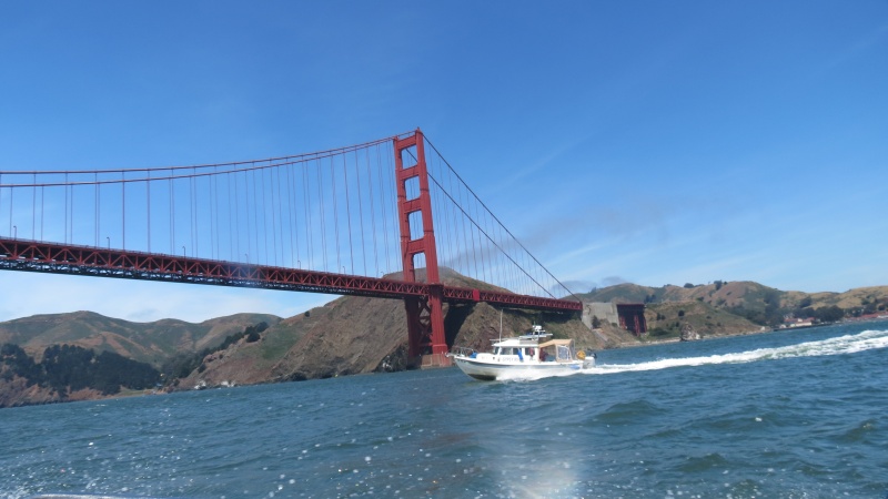 Under the Golden Gate Bridge.