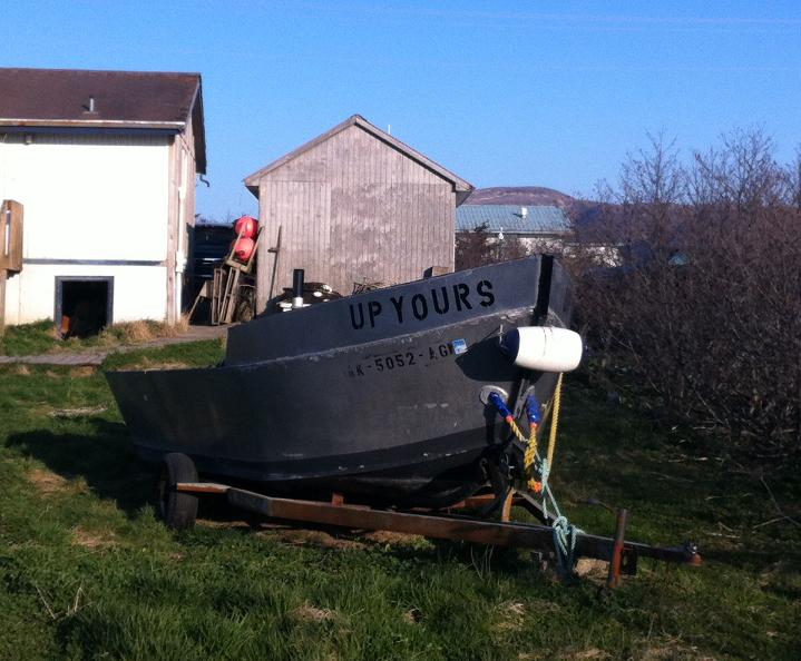 Up Yours! Friendly skiffing in Sand Point, AK. May 2014.