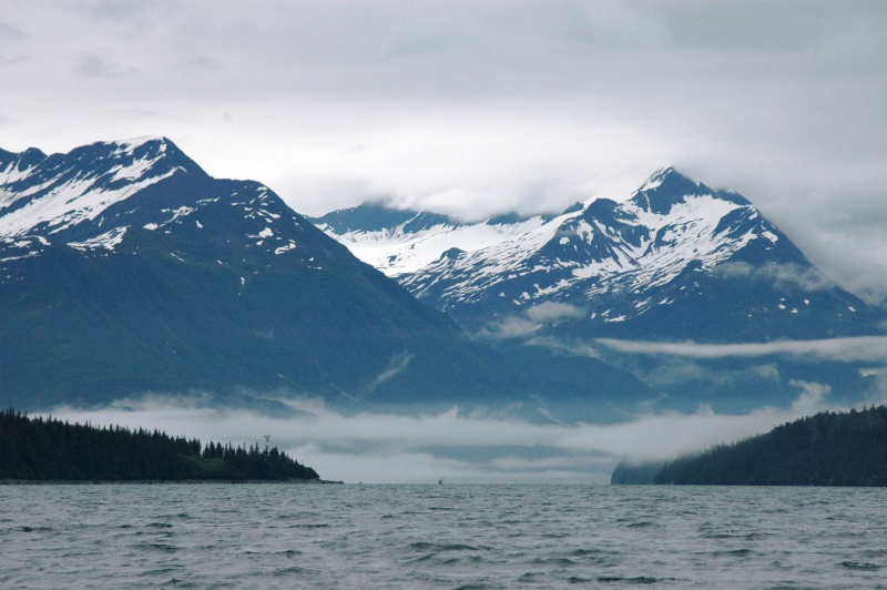 Valdez Narrows 7/2/2005 AM