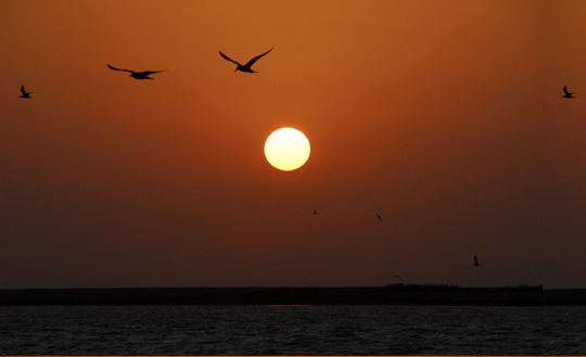 Valentine's Day sunset