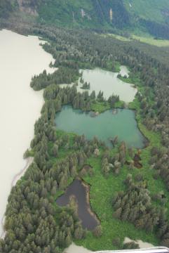 Varied silted water