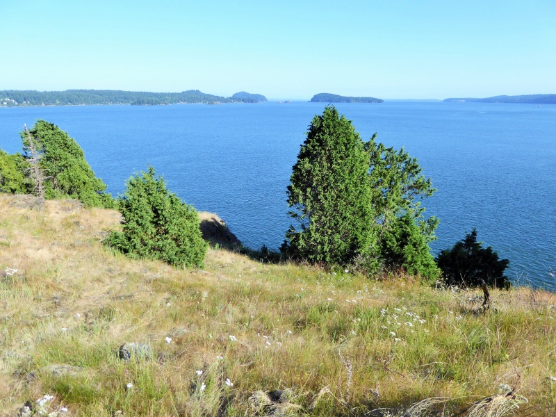 View from Hope Island looking South toward the LaConner canal entrance. May 30, 2015