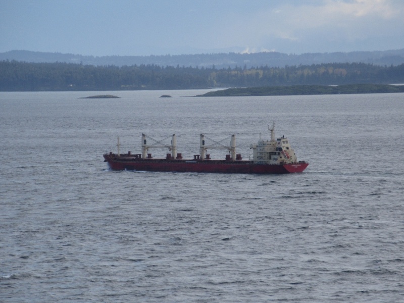 View from the bluff high above Turn Point. The rip tide in teh foreground makes the tanker look small...must have been 6 footers or bigger.