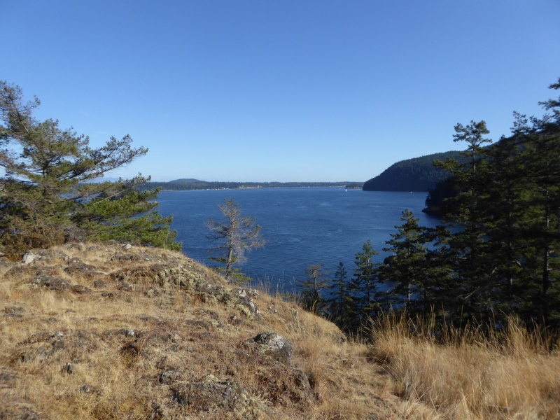 View from top of hill looking south towards Eagle Harbor