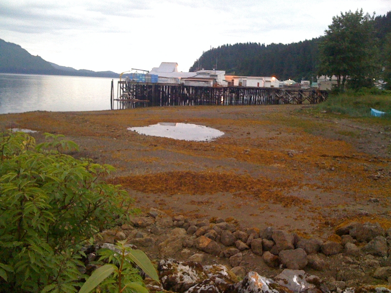 View of cold storage dock from Hoonah Harbor breakwater