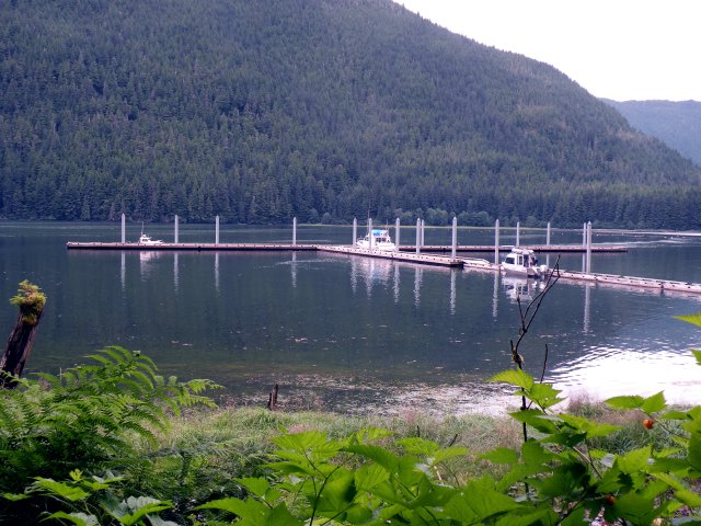 View of public dock at Taku Harbor
