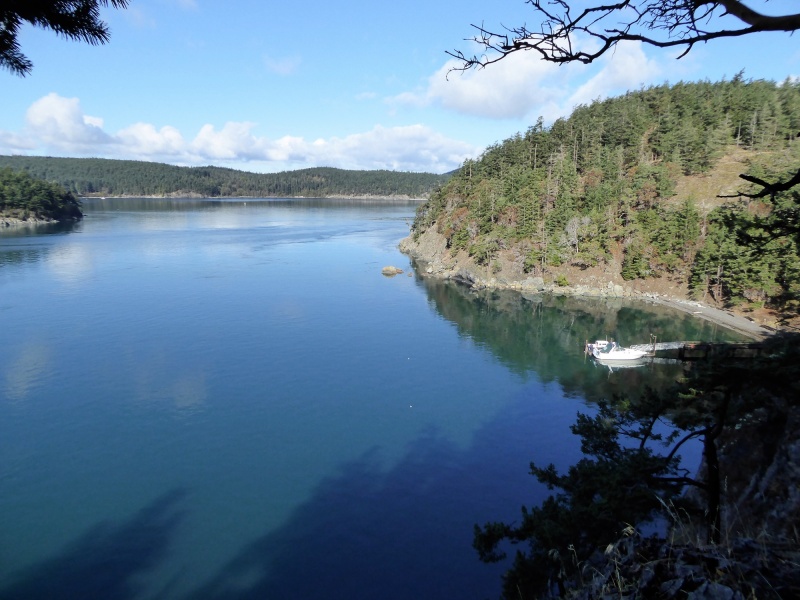 View of the dock from my hike around the South end of the island.