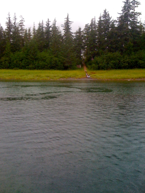 View of tram to Seymour Canal