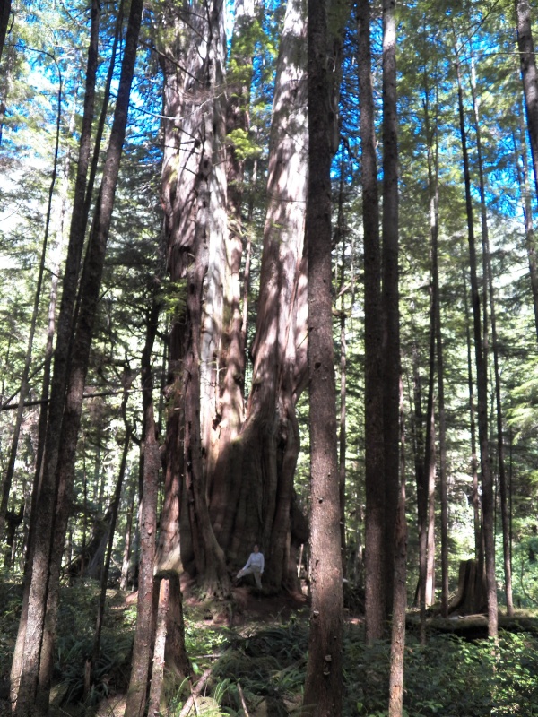 Visiting Billy Proctor's 1,000 year-old cedar tree.  We also stopped and visited Billy at his museum.