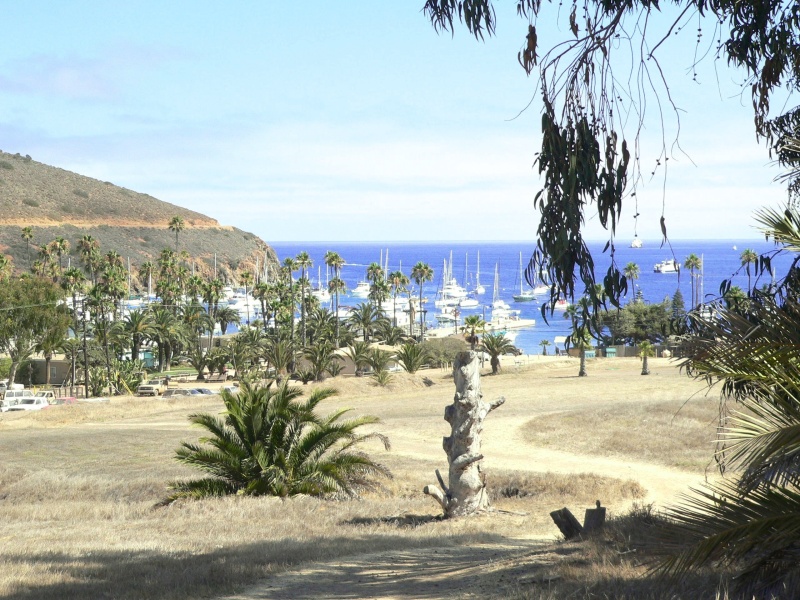 Walking near Twin Harbors