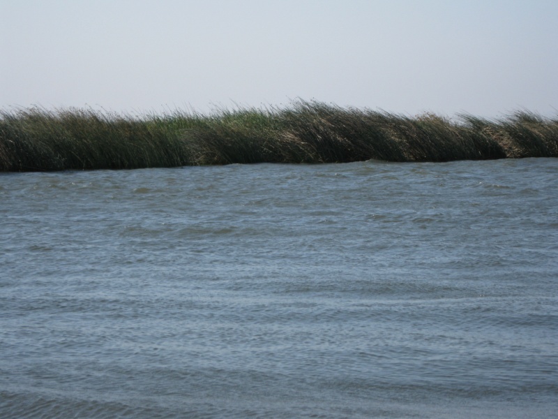 Washington Cut is a favorite place to overnight and get out of the wind.