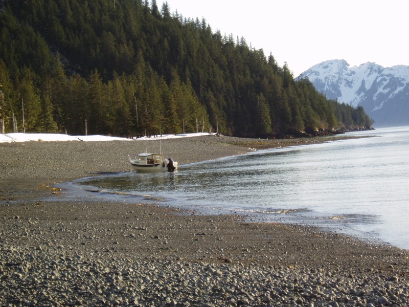 Waterball Thumb Cove, Resurrection Bay 04'