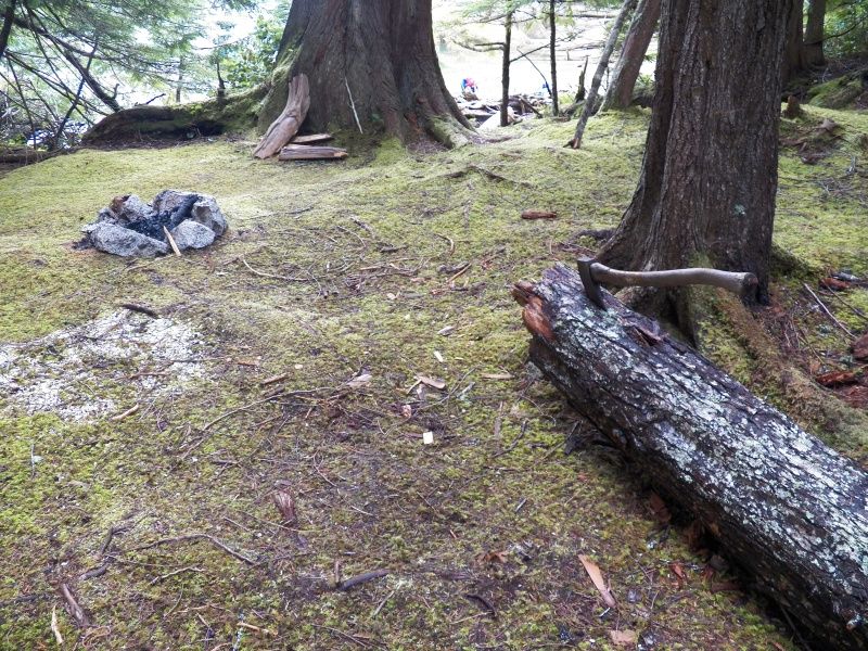 We obviously weren't the first to stop here.  Somebody forgot their camp axe.