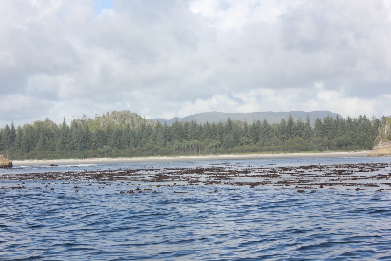 West Beach Calvert Island