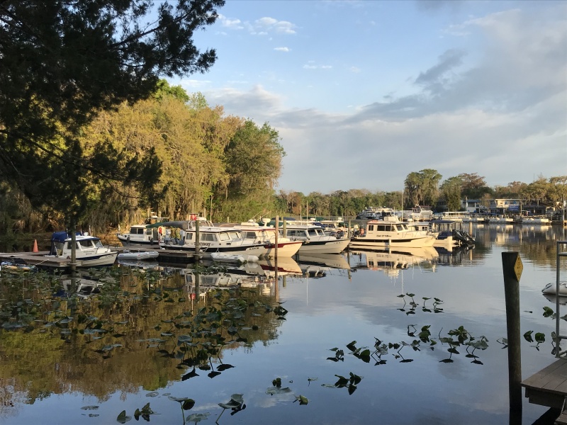 West dock at Hontoon SP