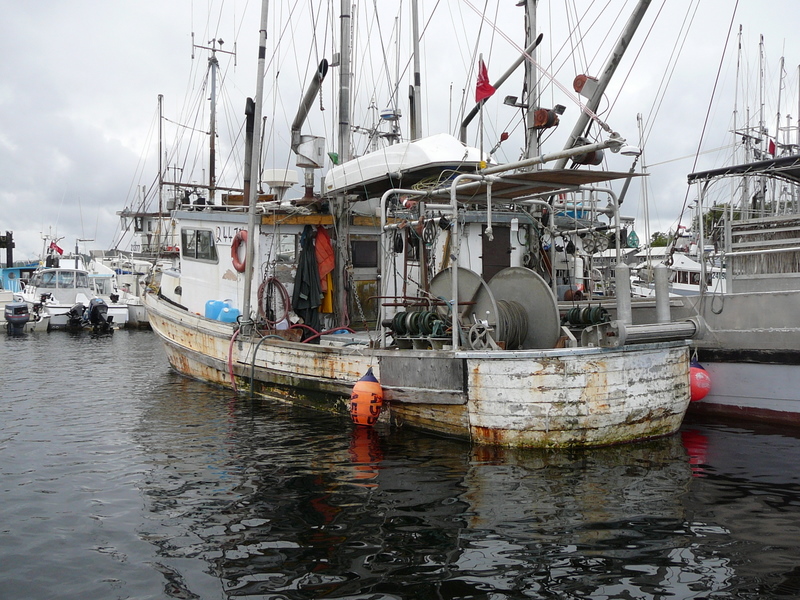 What you could be rafted to at the govt dock