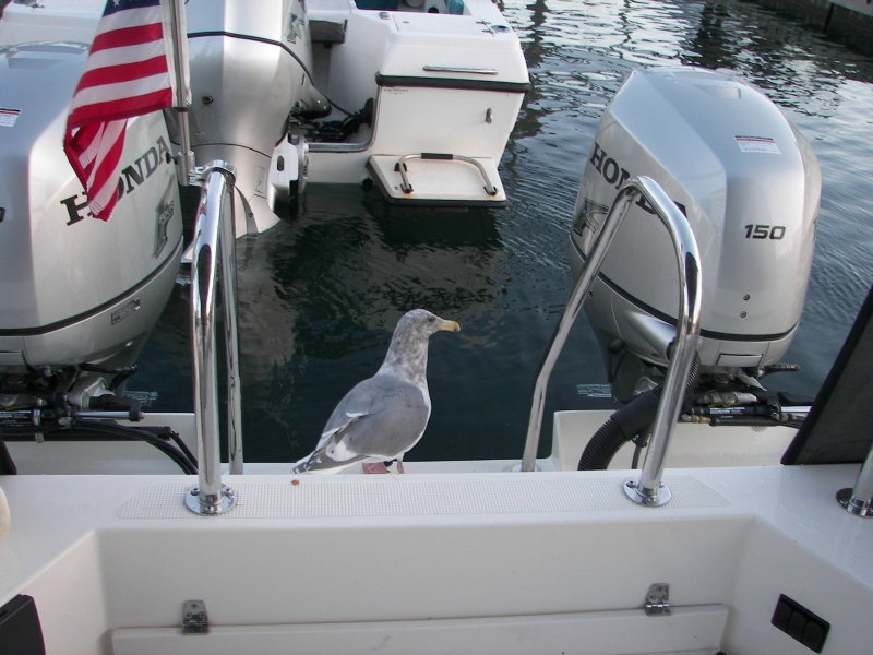 Where should I Christen this boat?