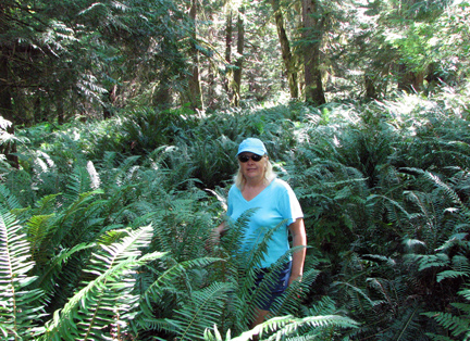 Which way do we go???