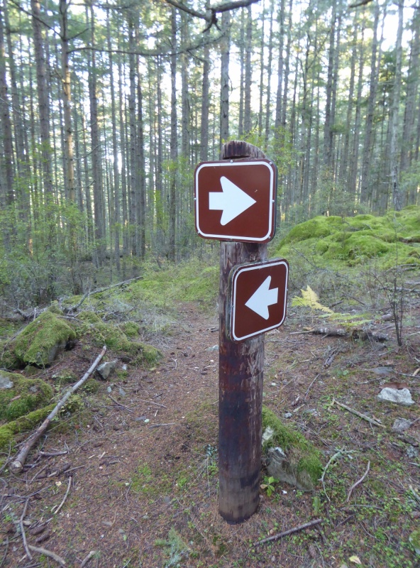 Which way?