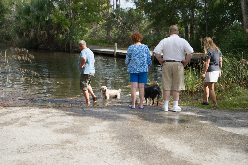 While the pig cooks, dogs have a swim.
