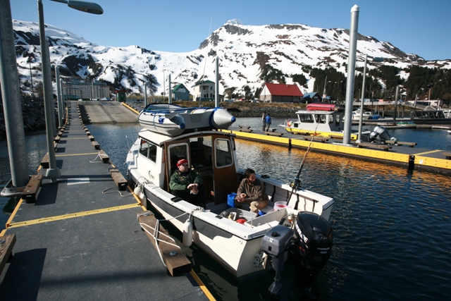 Whittier Harbor - Sunny, as always