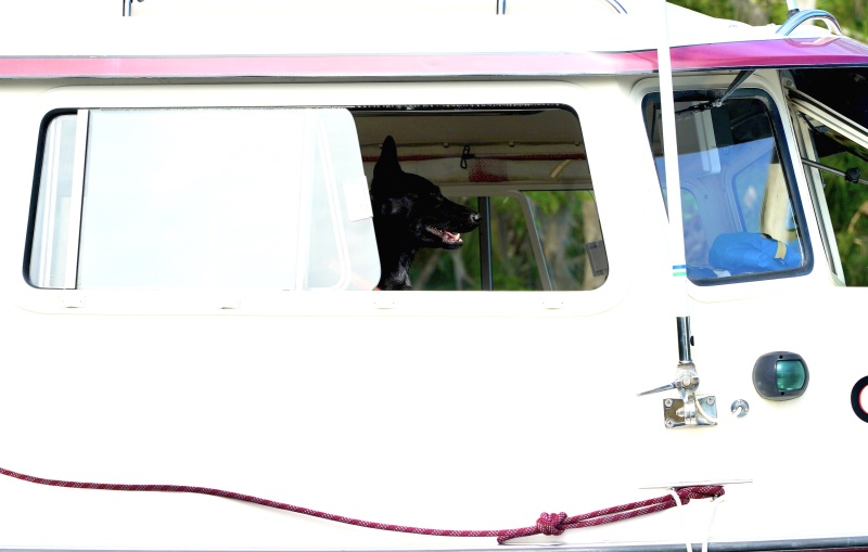 Who is driving???