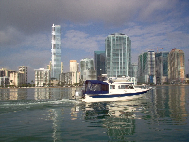 Wild Blue in Miami