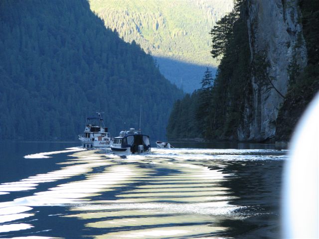 Wild Blue Leaving Princess Luisa