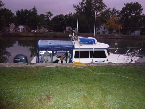 Will-C with Ginny peaking out