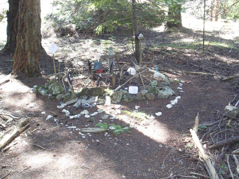Will, the horse\'s final resting place.  When this island became a park the owners made the government let Will the horse live out his life on the Island. He was very popular with visitors for a number of years.