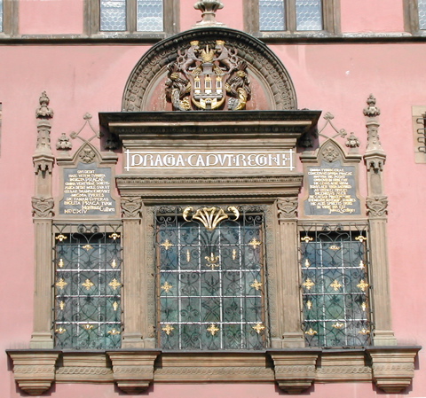 Window5