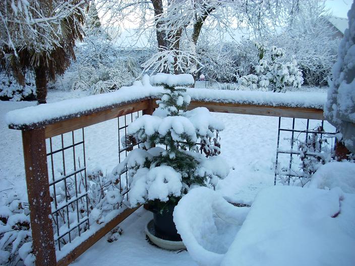 winter    dec. '08