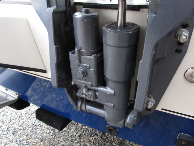 Wondering where to check fluid level for trim/tilt system.
