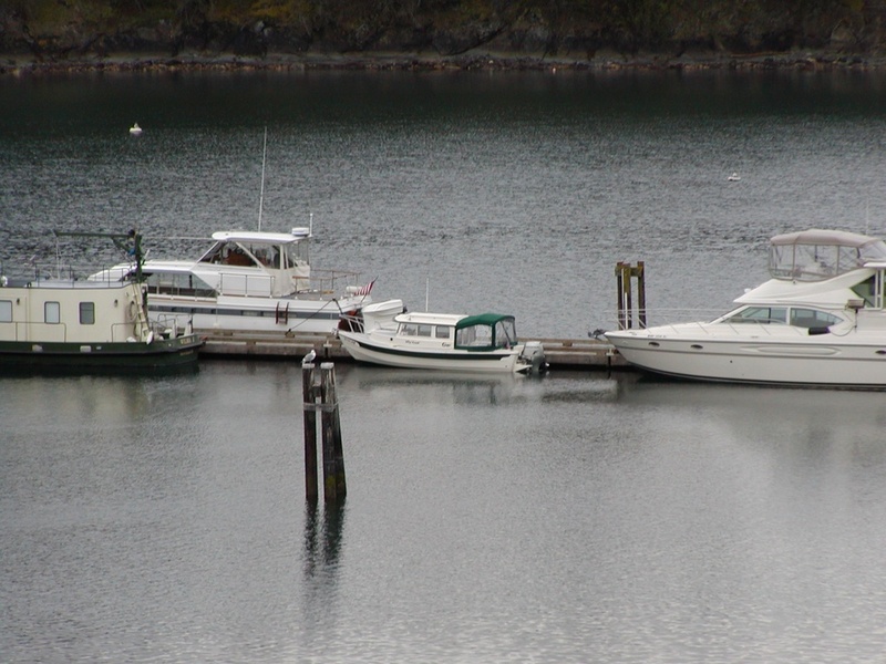 Wy Knot with her big friends at Sucia Island 3/22/04