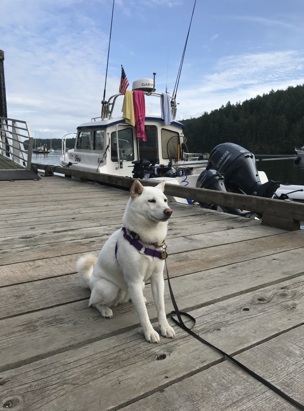 Yuki at Reid Harbor