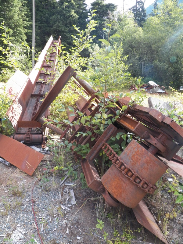 Zeballos was a mining town and the evidence is around in the bushes.